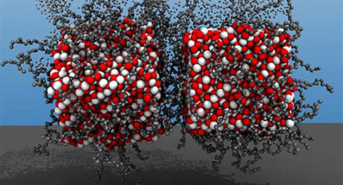 北卡罗莱纳州立大学Yaroslava Yingling和Akhlak Ul-Mahmood提供