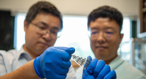 The synaptic transistor is reconfigurable, meaning it can be twisted and bent, yet still remain functional, as researchers Cunjiang Yu (left), Dorothy Quiggle Career Development Associate Professor of Engineering Science and Mechanics (ESM), and ESM graduate student Hyunseok Shim demonstrate in this photo. Conventional transistors, on the other hand, are rigid and can break after being bent. Courtesy: Kelby Hochreither/Penn State.